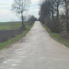 zdjęcie nr 17