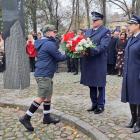 zdjęcie nr 59
