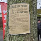 zdjęcie nr 41