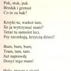 zdjęcie nr 16