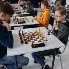 Fotka nr 5 z 16