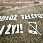 Fotka nr 0 z 15