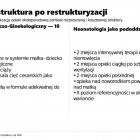 zdjęcie nr 65