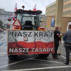 zdjęcie nr 29