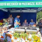 zdjęcie nr 94
