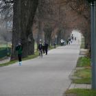 zdjęcie nr 17