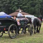 zdjęcie nr 181