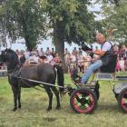 zdjęcie nr 105