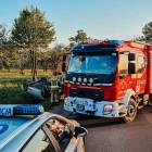 Fotka nr 5 z 7