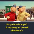 Fotka nr 5 z 14