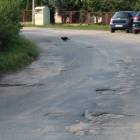 zdjęcie nr 31