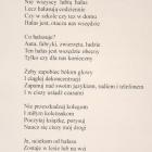 zdjęcie nr 17