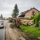 zdjęcie nr 14