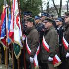zdjęcie nr 16