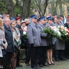 zdjęcie nr 17