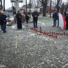 zdjęcie nr 37
