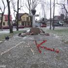 zdjęcie nr 48