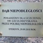 zdjęcie nr 9