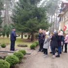 zdjęcie nr 9