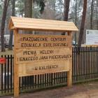 zdjęcie nr 10