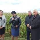 zdjęcie nr 7