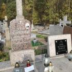 zdjęcie nr 11