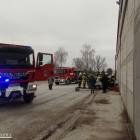 Fotka nr 5 z 16
