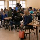 Fotka nr 4 z 46