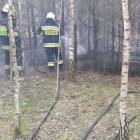 Fotka nr 1 z 13