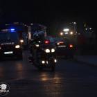 Fotka nr 3 z 11