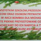 zdjęcie nr 8