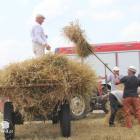 zdjęcie nr 95