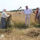 zdjęcie nr 30