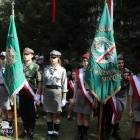 zdjęcie nr 9