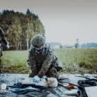 Fotka nr 4 z 13