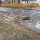zdjęcie nr 19