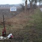 zdjęcie nr 15
