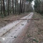 zdjęcie nr 33