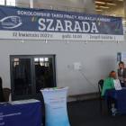 zdjęcie nr 10