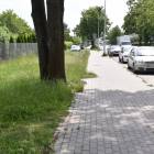 zdjęcie nr 43