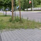 zdjęcie nr 44