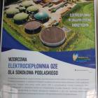 zdjęcie nr 8