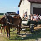 zdjęcie nr 80