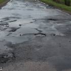 zdjęcie nr 31