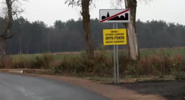 Wraca problem ptasiej grypy i obostrzenia