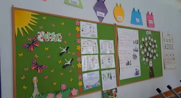 Do reformy oświaty w Sokołowie Podlaskim trzeba podejść rzetelnie i nie działać za plecami radnych oraz mieszkańców