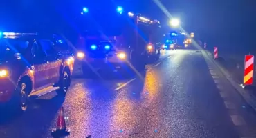 Stado dzików wybiegło na drogę, trzy samochody uszkodzone!