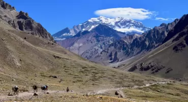 Aconcagua - jak przygotować się do zdobycia najwyższego szczytu Ameryki Południowej