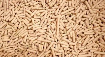 Pellet z odpadów drzewnych kontra pellet premium – jak różnią się w praktycznym użytkowaniu? 