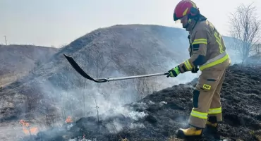 Pożary traw i kotłowni. Pracowita niedziela u strażaków.